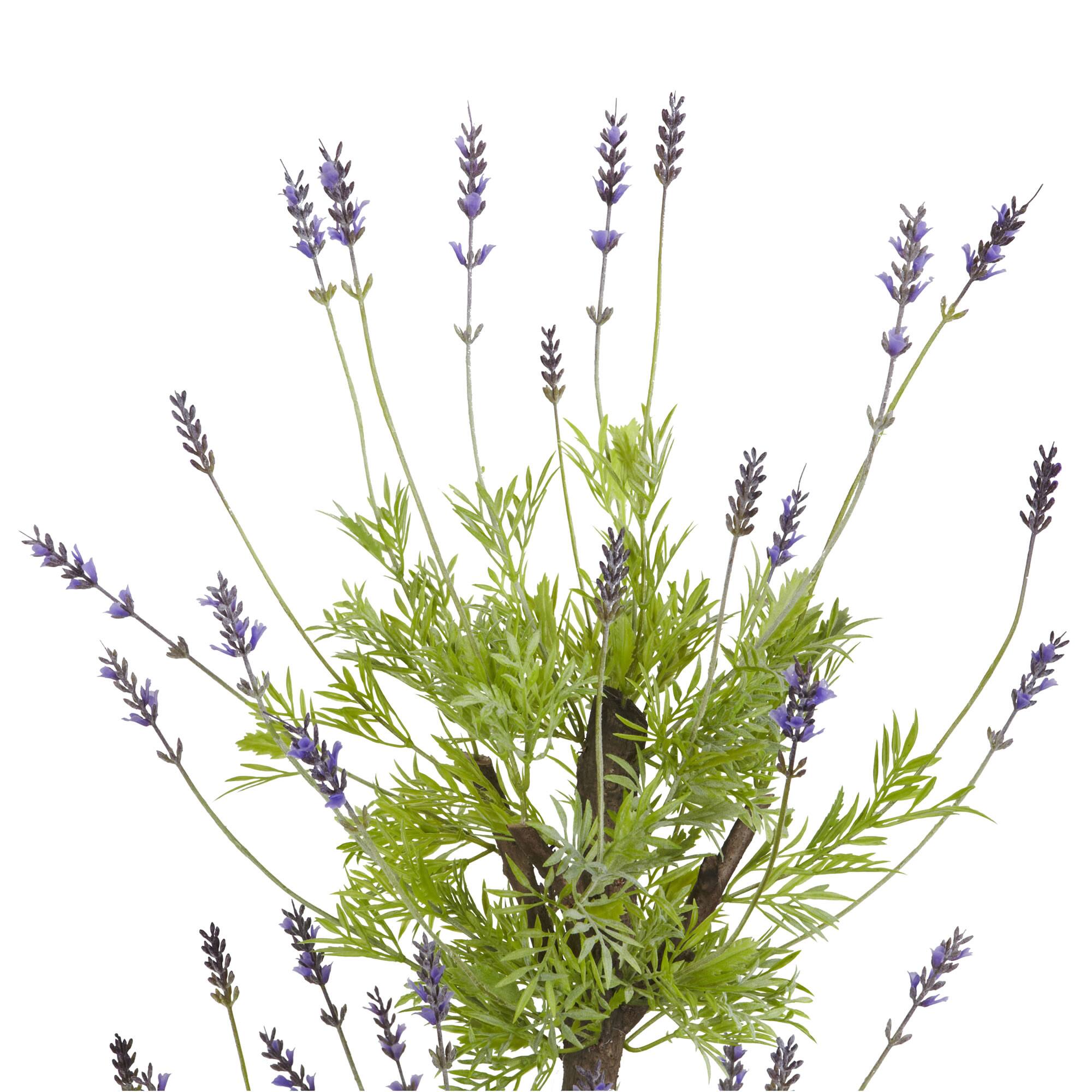 4ft. Potted Lavender Topiary Tree